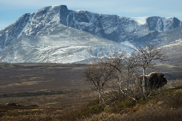 norwegen_herbst_1kn6407